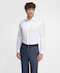 SHL-5426-XL