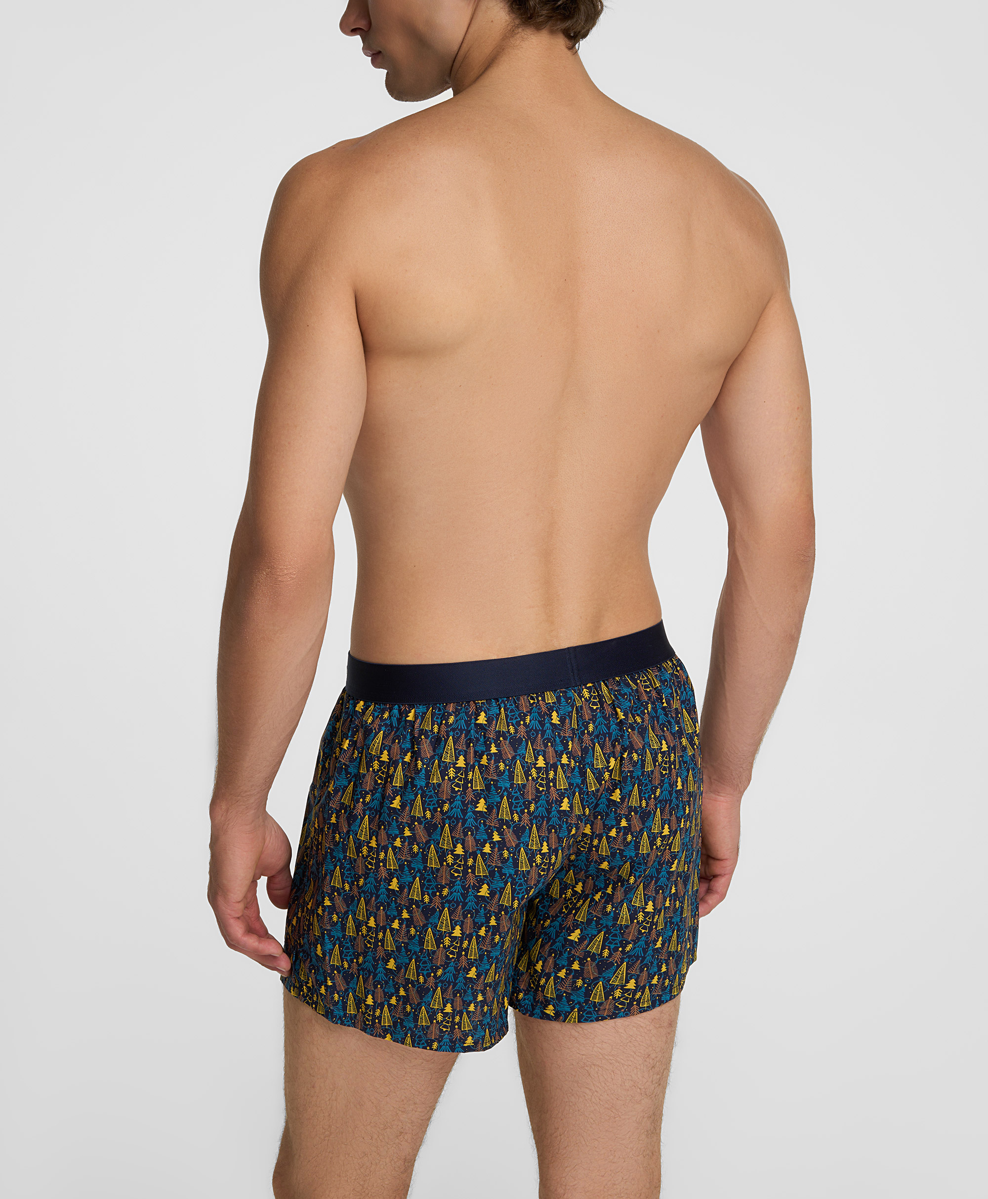 Боксеры ситцевые